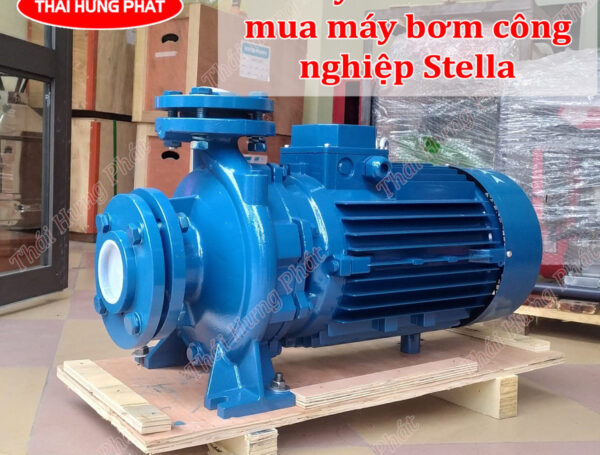 Lưu ý cần biết khi mua máy bơm công nghiệp Stella