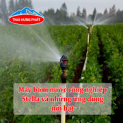 Máy bơm nước công nghiệp Stella và những ứng dụng nổi bật