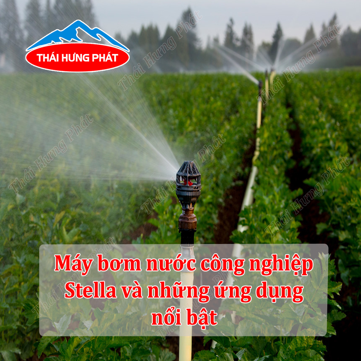 Ứng dụng của máy bơm công nghiệp Stella trong cuộc sống