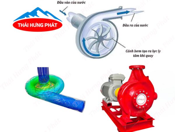 Khám phá cấu tạo và cơ chế hoạt động của máy bơm nước phòng cháy Stella