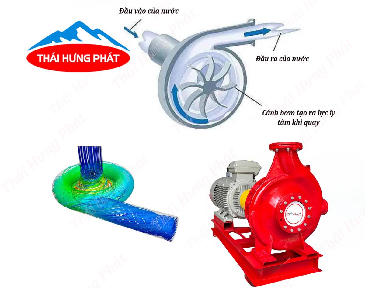 Khám phá cấu tạo và cơ chế hoạt động của máy bơm nước phòng cháy Stella