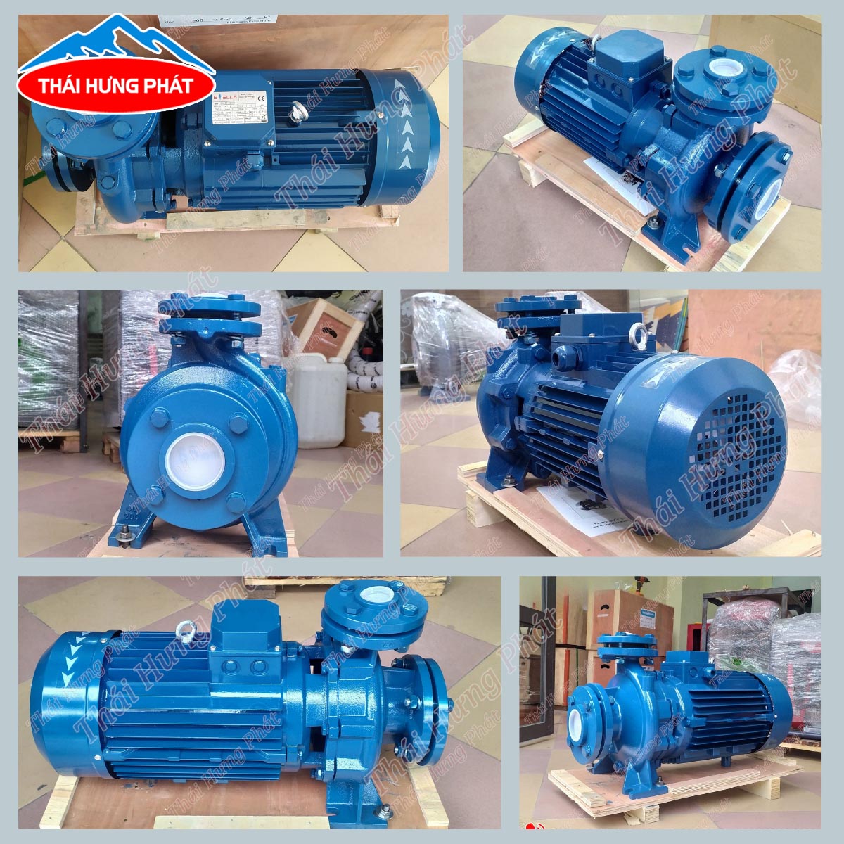Bơm nước công nghiệp Stella : Thông tin chi tiết